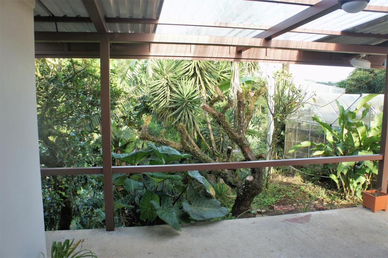 نويفو أرينال Casa Donna Rosa B&B المظهر الخارجي الصورة