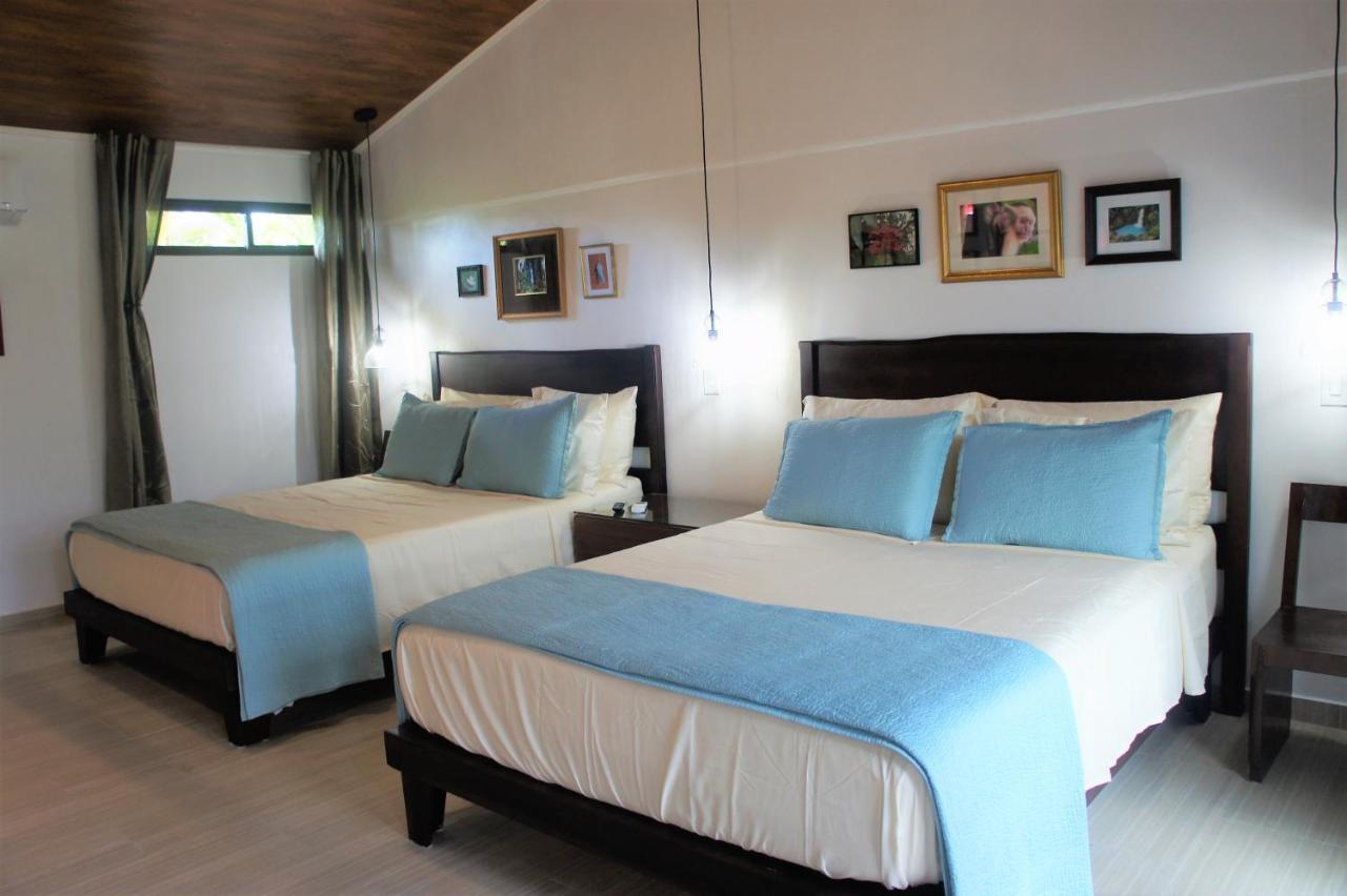 نويفو أرينال Casa Donna Rosa B&B المظهر الخارجي الصورة